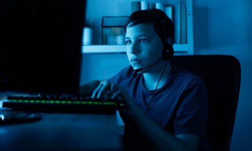 GAMING SERVICES 3343430887